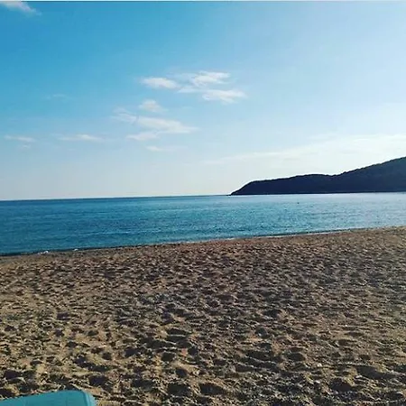 - Jaz Budva